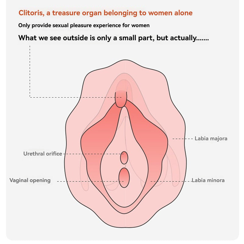 10 times of sucking on the sensitive clitoris, intense pleasure-Clitoral Suction Vibrator with Remote Wearable Egg Vibrator