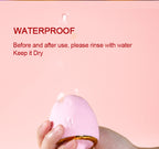 Function Description of the Dou Dou Mushroom Suction Vibrator