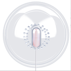 Breast & Clitoral Massager with Vibrating Egg