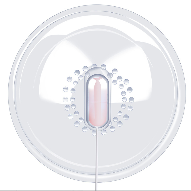 Breast & Clitoral Massager with Vibrating Egg