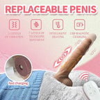 Plush Teddy Bear Pillow Thrusting Dildo with replaceable penis feature, showcasing 11 vibration levels, heating, and USB charging.
