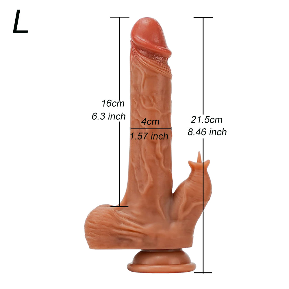 L size reference showing supplier-illustrated dimensions
