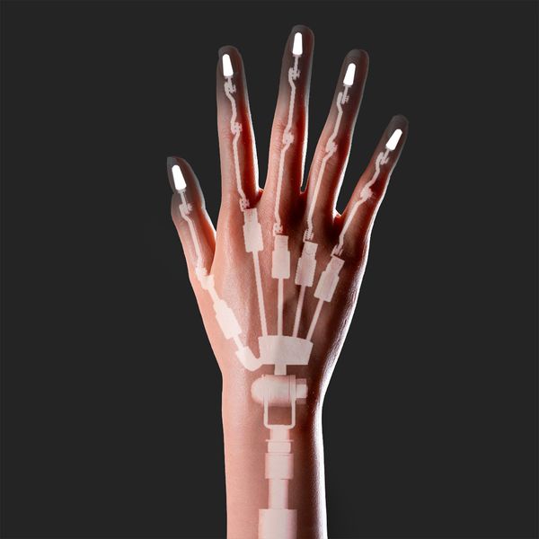 Mei 161 Articulated Hand Skeleton